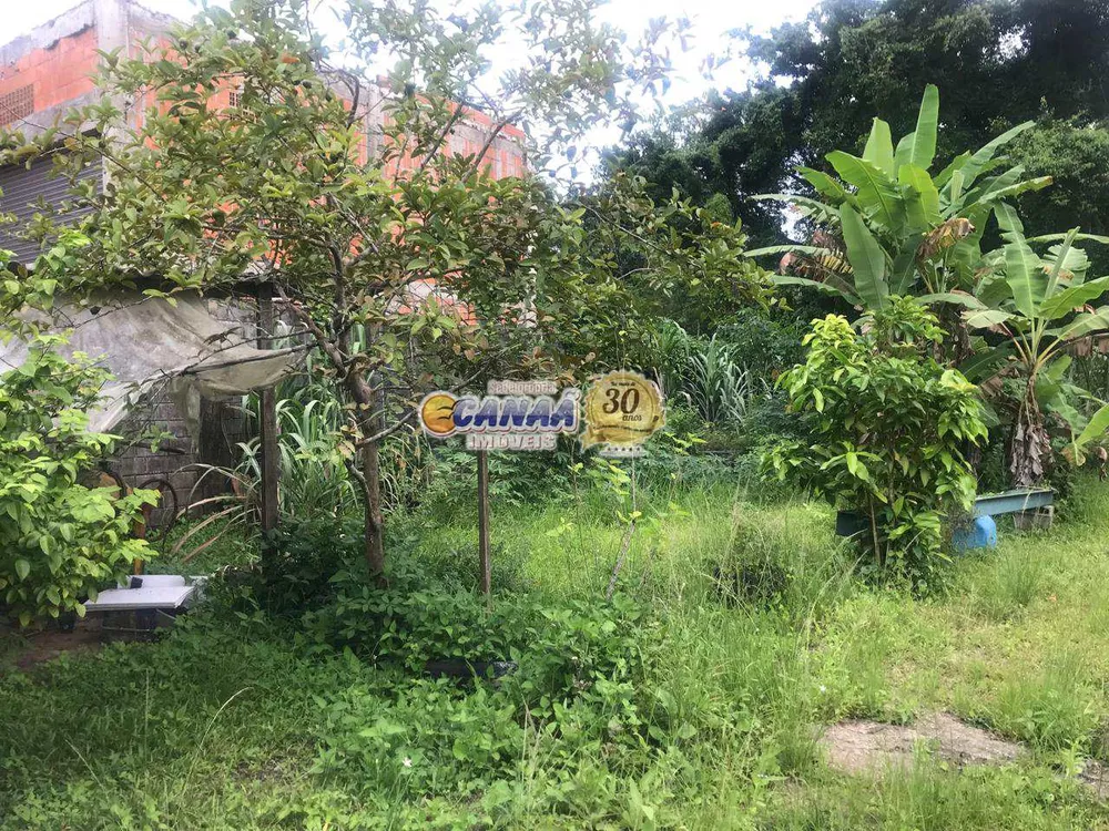 Terreno, 3800 m² - Foto 7
