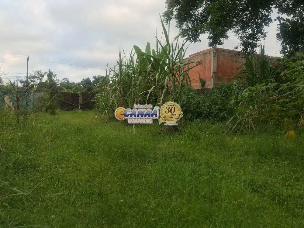 Terreno, 3800 m² - Foto 6