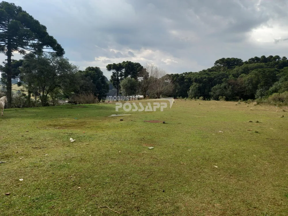 Terreno, 9400 m² - Foto 5