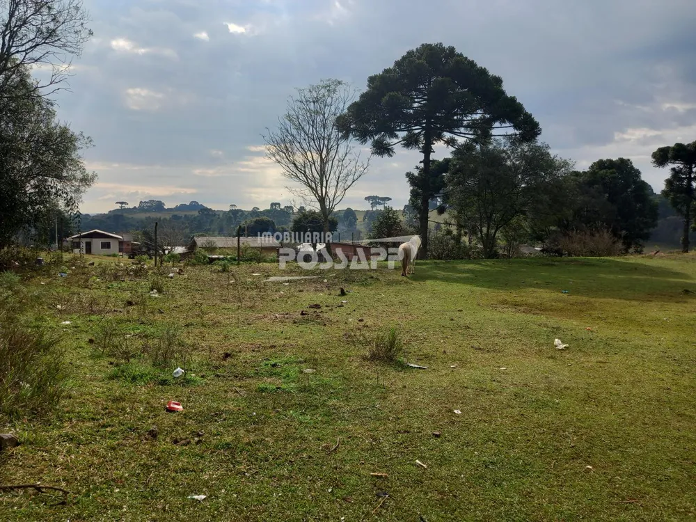 Terreno, 9400 m² - Foto 6