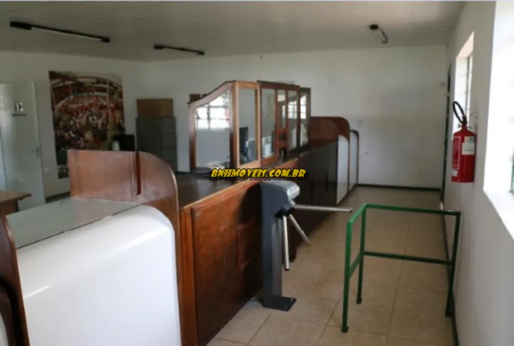 Fazenda, 16 hectares - Foto 4