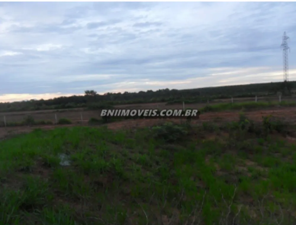 Fazenda, 17 hectares - Foto 3