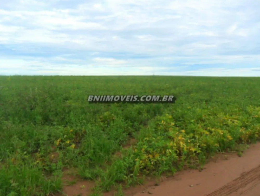 Fazenda, 17 hectares - Foto 2