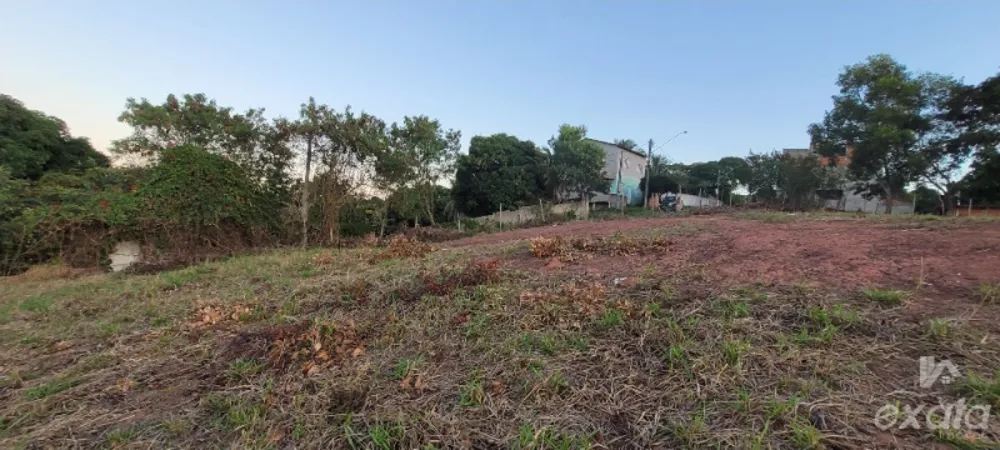 Chácara, 1 quarto, 2771 m² - Foto 11