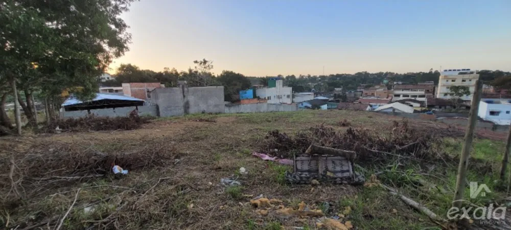 Chácara, 1 quarto, 2771 m² - Foto 1
