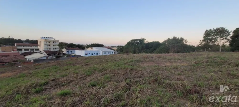 Chácara, 1 quarto, 2771 m² - Foto 4