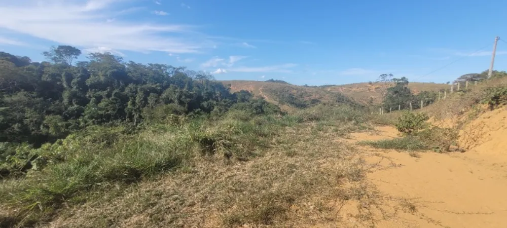 Chácara - Foto 5