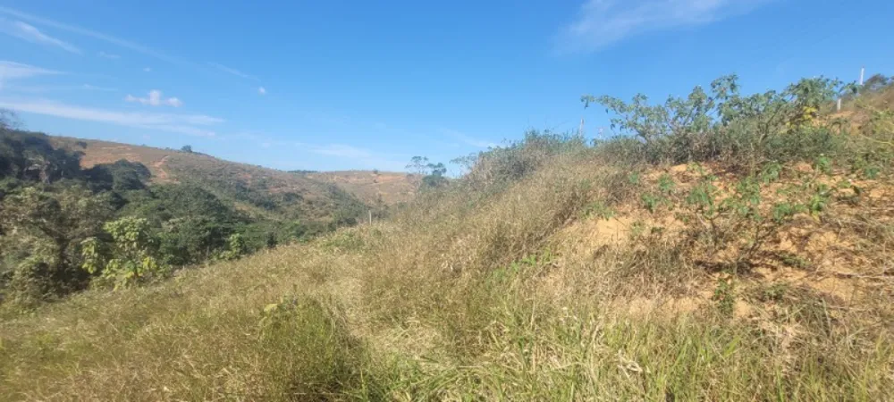 Chácara - Foto 2