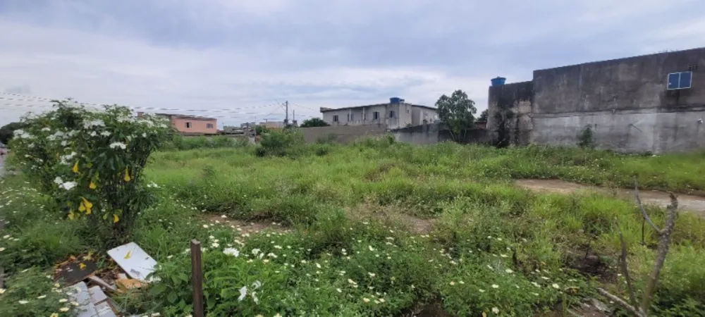 Terreno, 300 m² - Foto 11