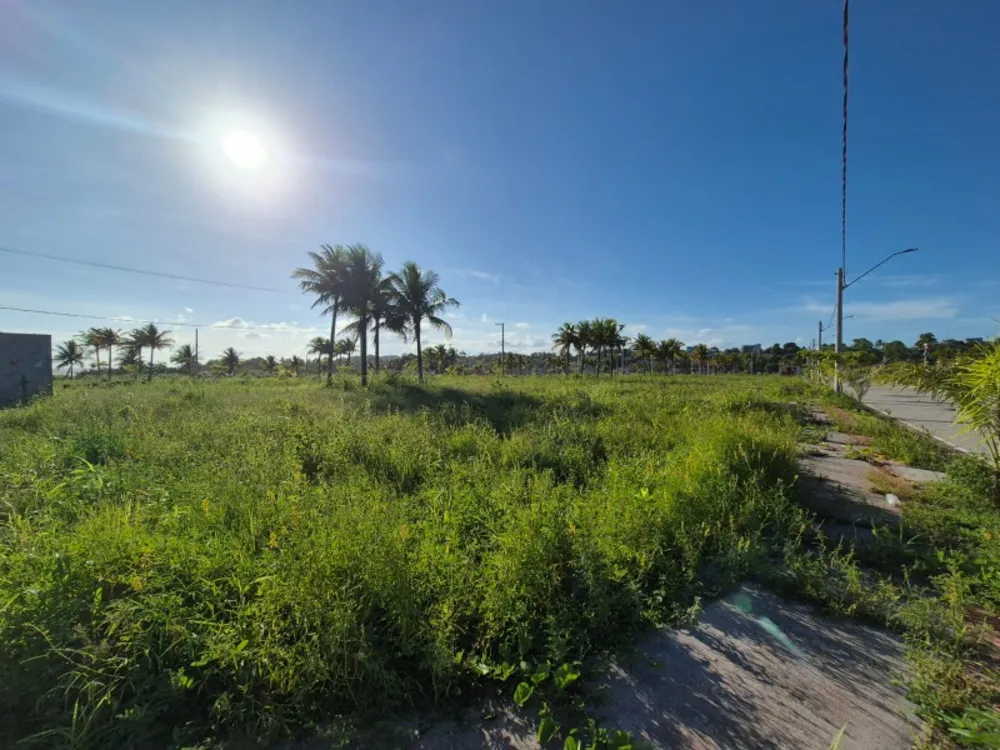 Terreno, 300 m² - Foto 6