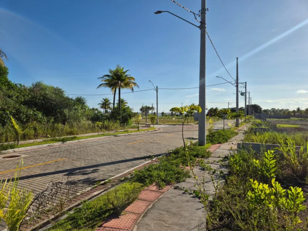 Terreno, 300 m² - Foto 4