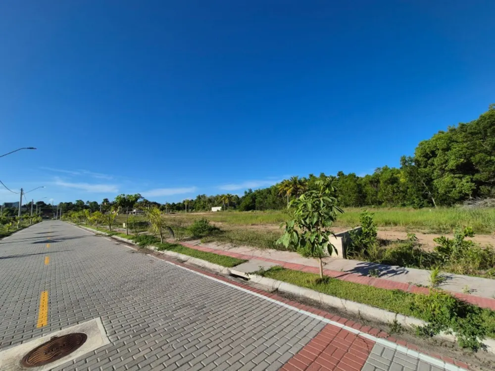 Terreno, 300 m² - Foto 5