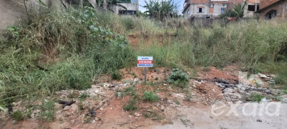 Terreno, 300 m² - Foto 4