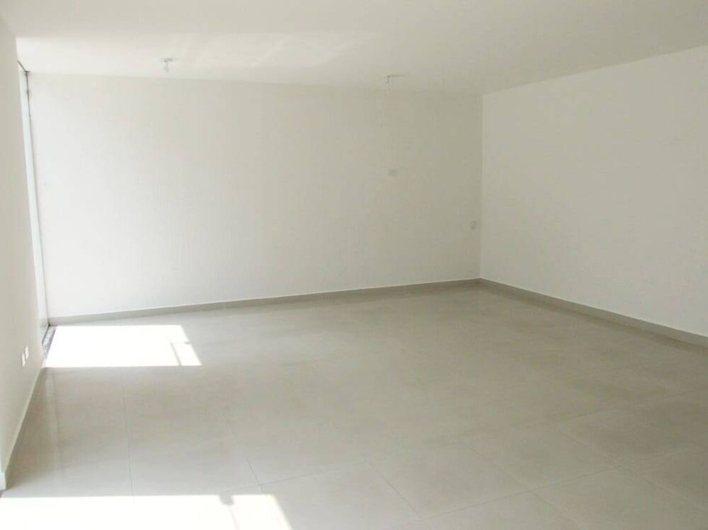 Casa, 4 quartos, 850 m² - Foto 3
