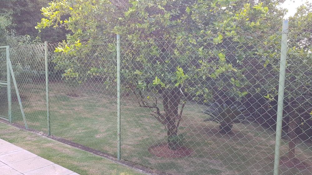 Casa, 4 quartos, 700 m² - Foto 1