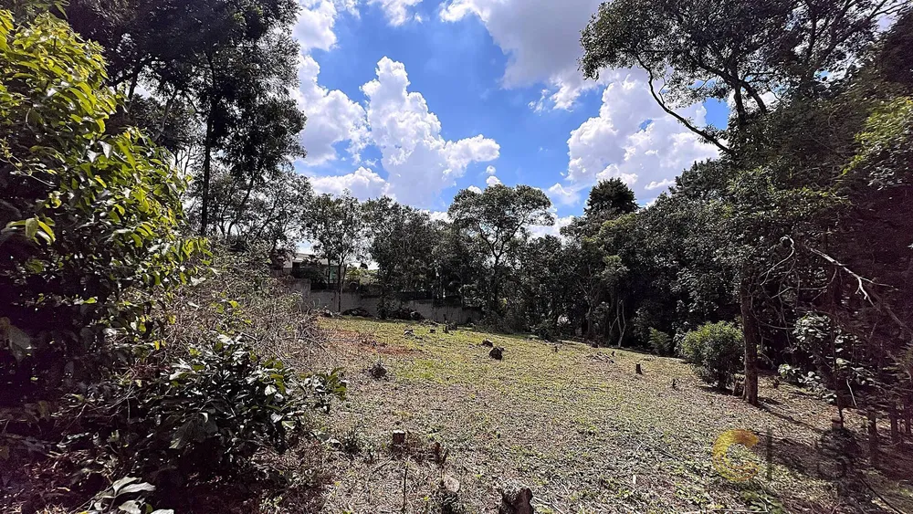 Terreno, 1570 m² - Foto 8