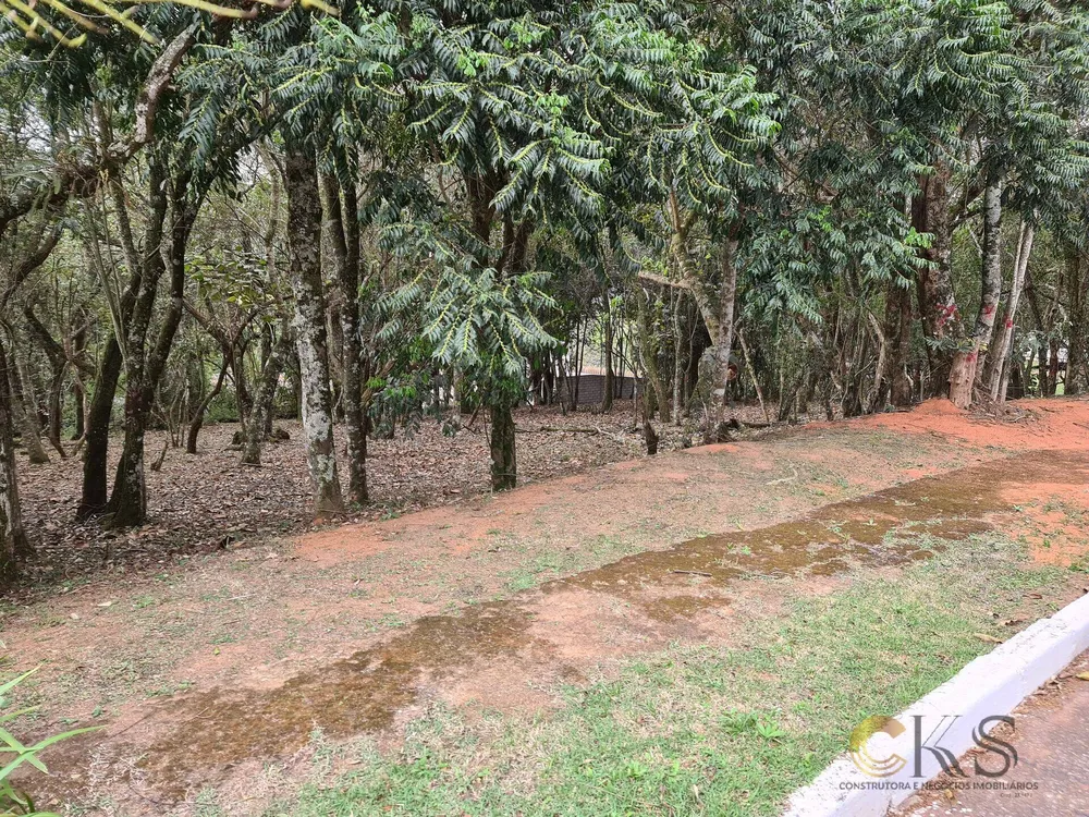 Terreno, 1570 m² - Foto 6