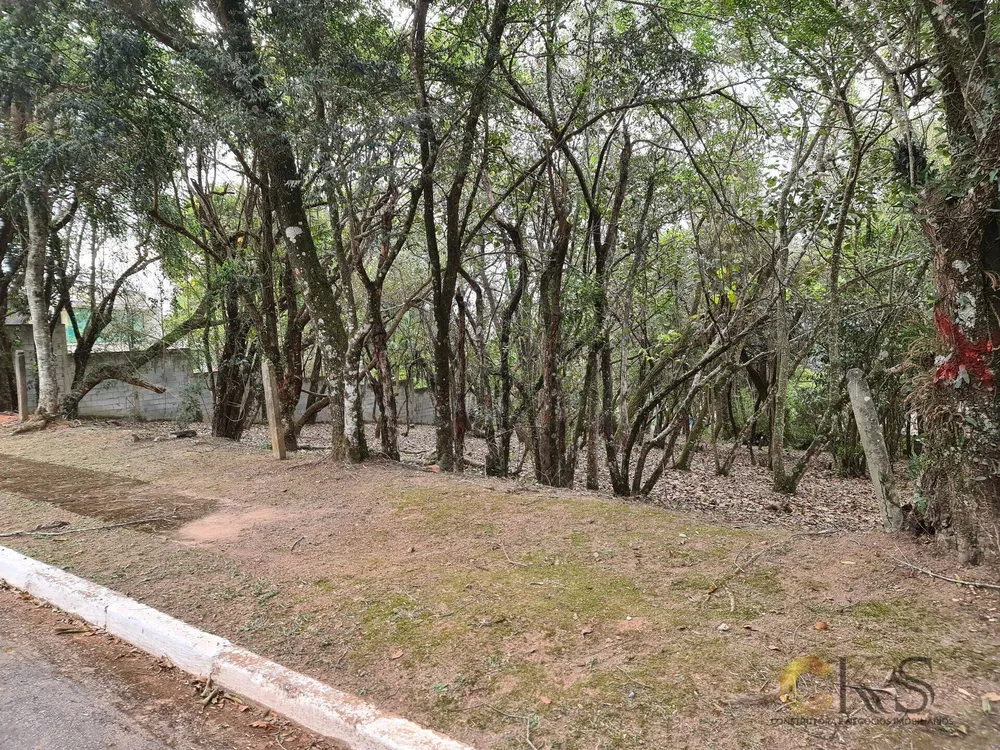 Terreno, 1570 m² - Foto 7