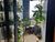 Apartamento, 3 quartos - Foto 2
