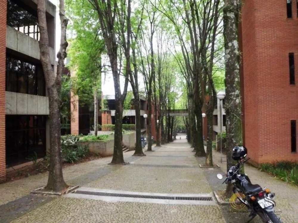 Sala-Conjunto, 530 m² - Foto 5