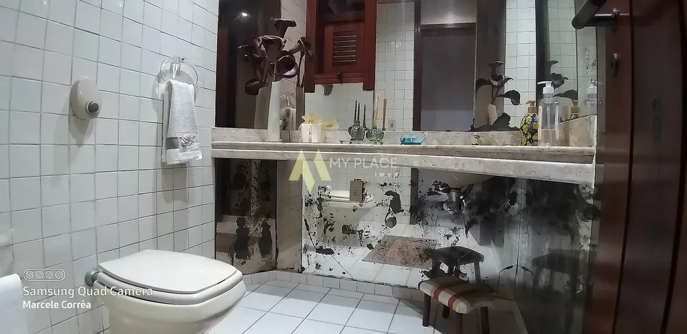 Casa, 4 quartos, 321 m² - Foto 19