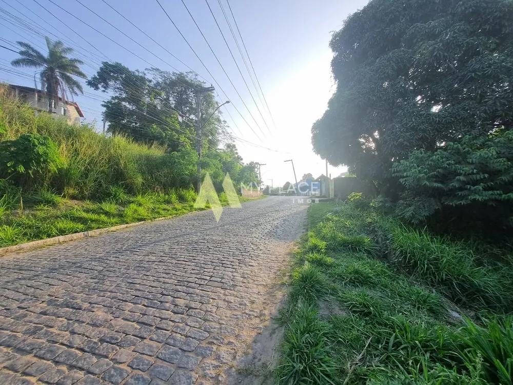 Depósito-Galpão, 1541 m² - Foto 5