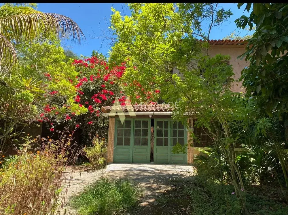 Sítio, 4 quartos, 5000 m² - Foto 1