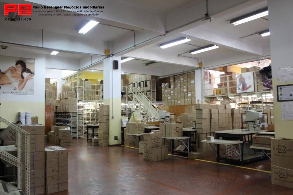 Depósito-Galpão, 8813 m² - Foto 6