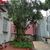 Casa, 3 quartos, 228 m² - Foto 4