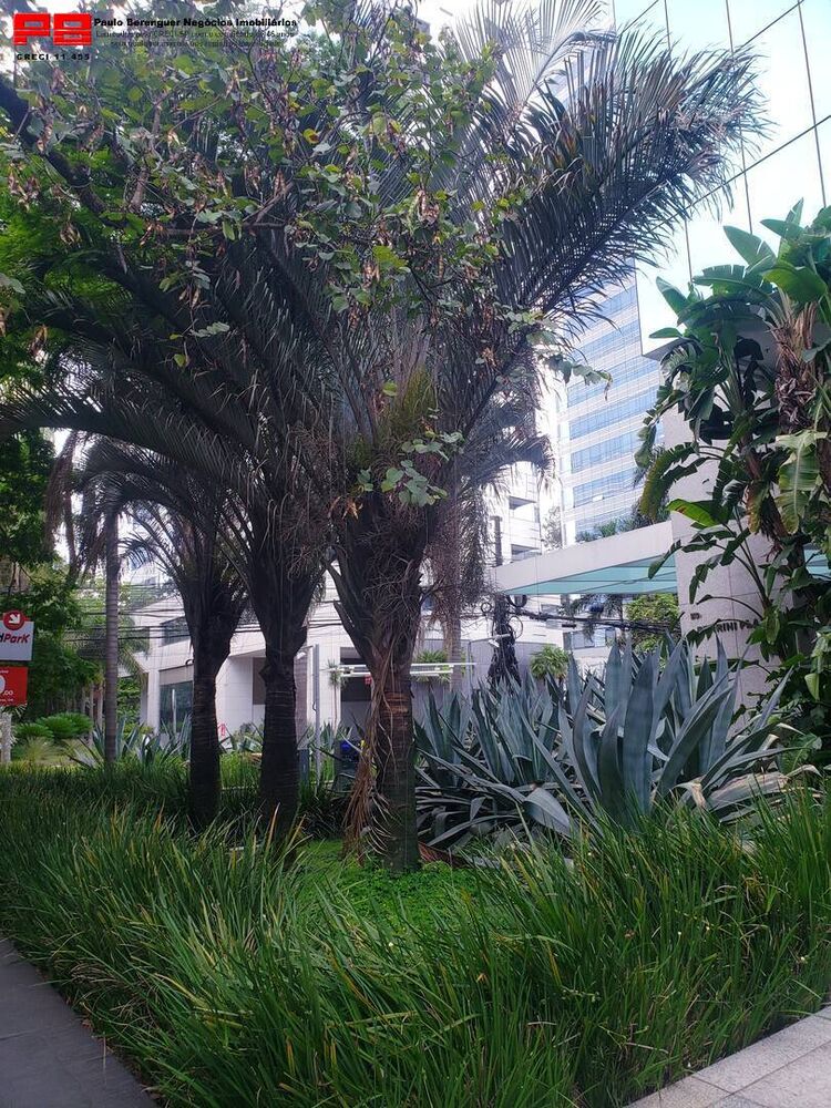 Sala-Conjunto, 447 m² - Foto 4