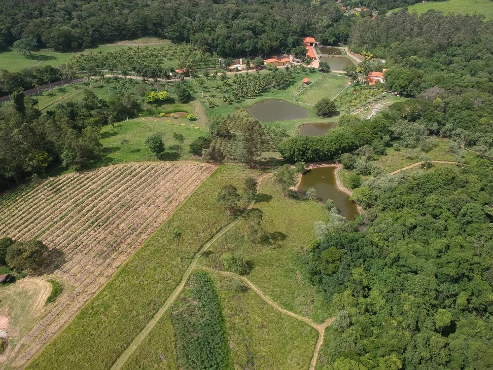 Sítio, 12 hectares - Foto 3