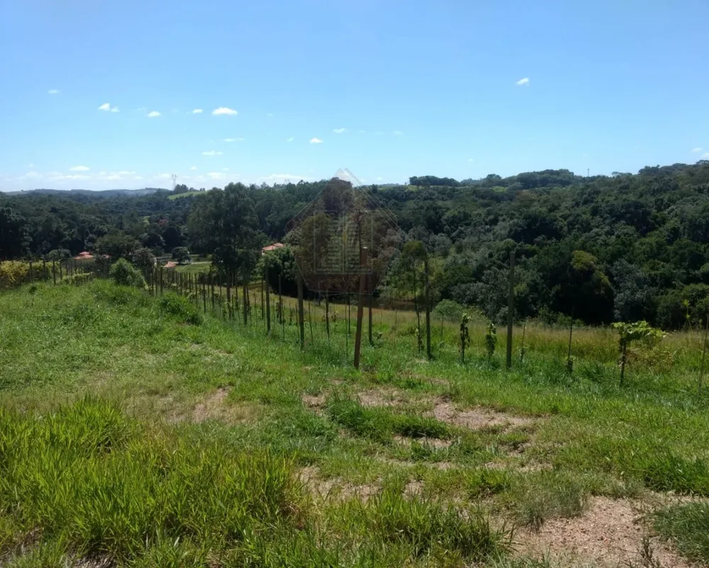 Sítio, 12 hectares - Foto 6
