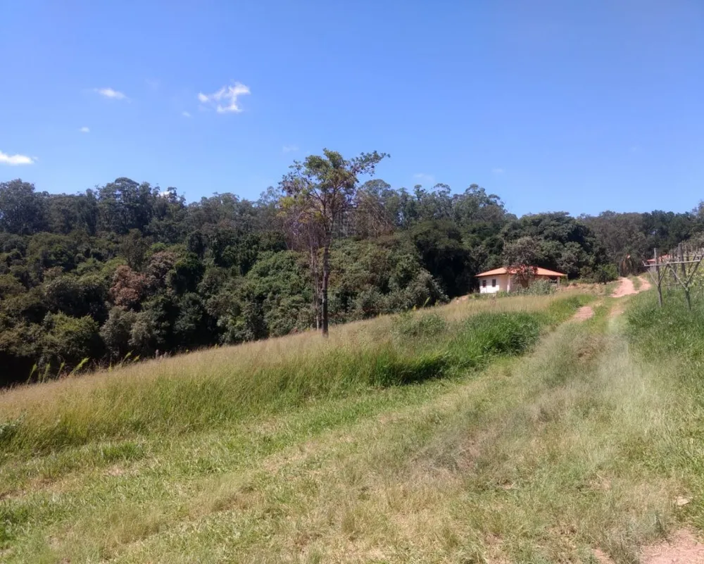 Sítio, 12 hectares - Foto 8