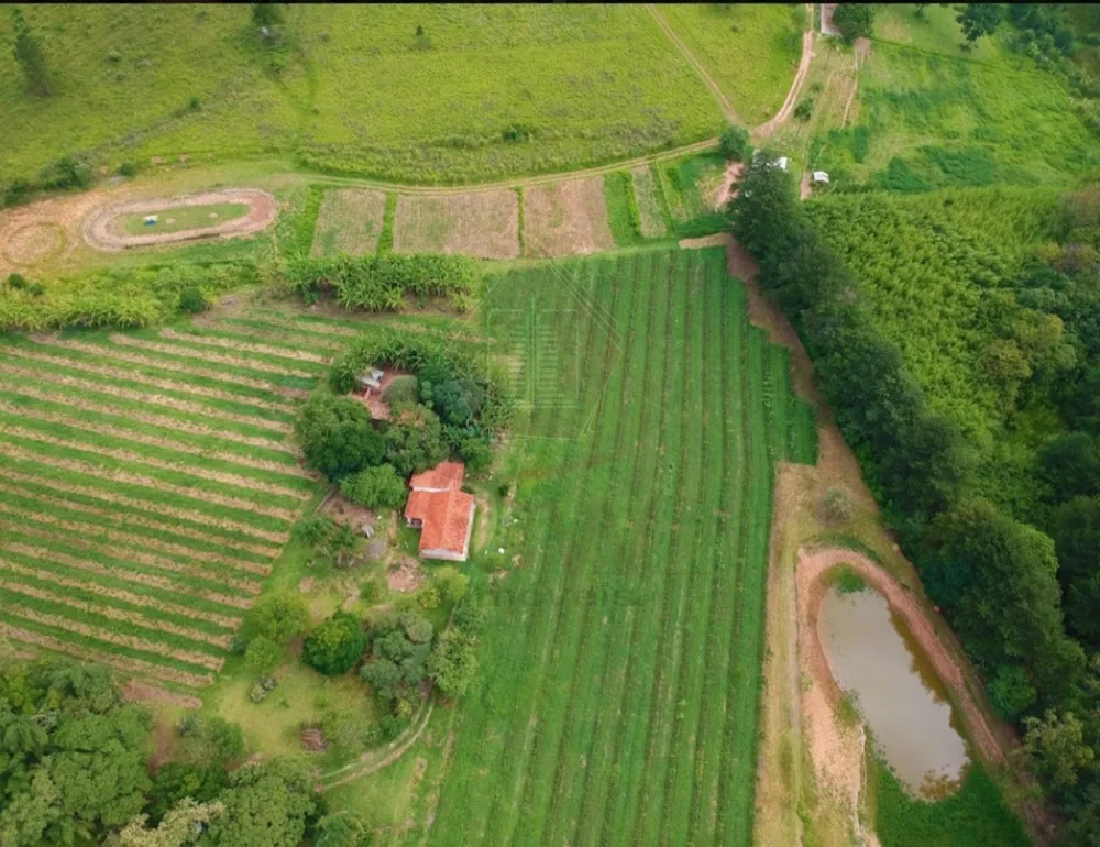 Sítio, 11 hectares - Foto 7