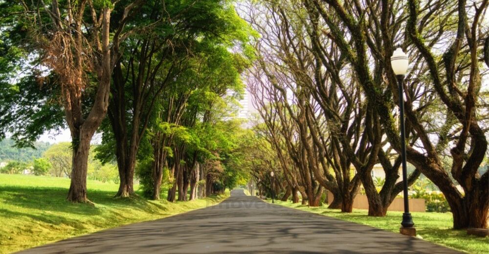 Terreno, 800 m² - Foto 2