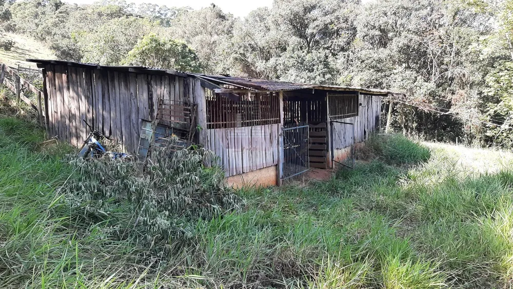 Fazenda, 2 hectares - Foto 7
