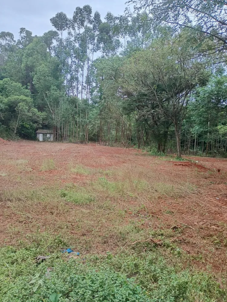 Loteamento e Condomínio, 5500 m² - Foto 2