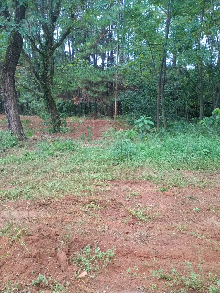 Loteamento e Condomínio, 5500 m² - Foto 5