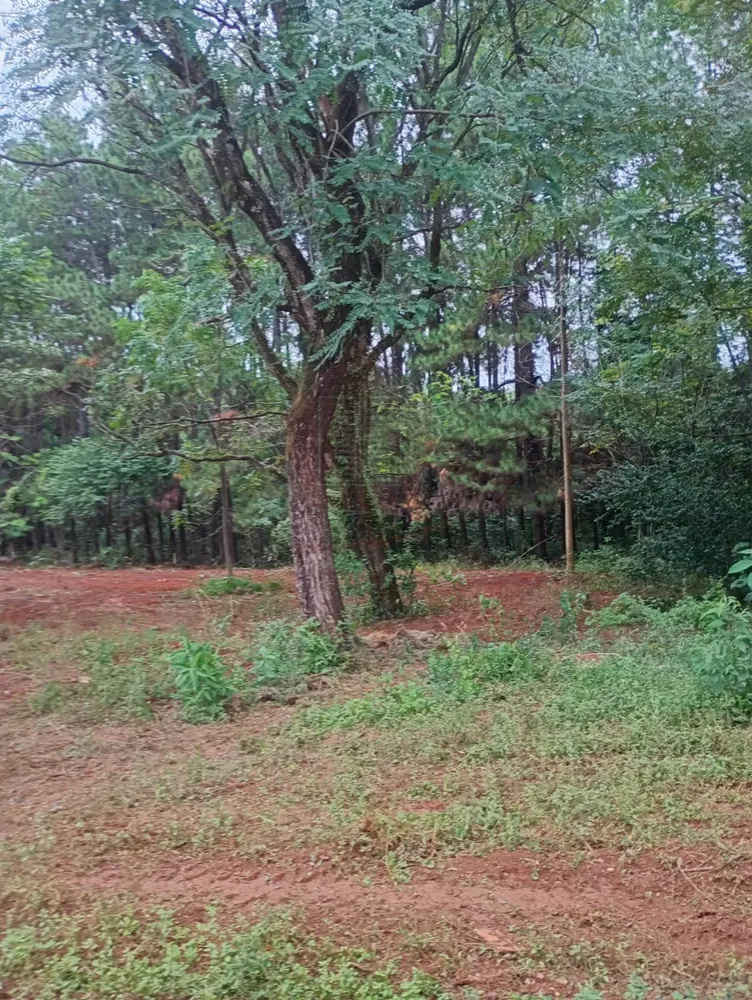 Loteamento e Condomínio, 5500 m² - Foto 7