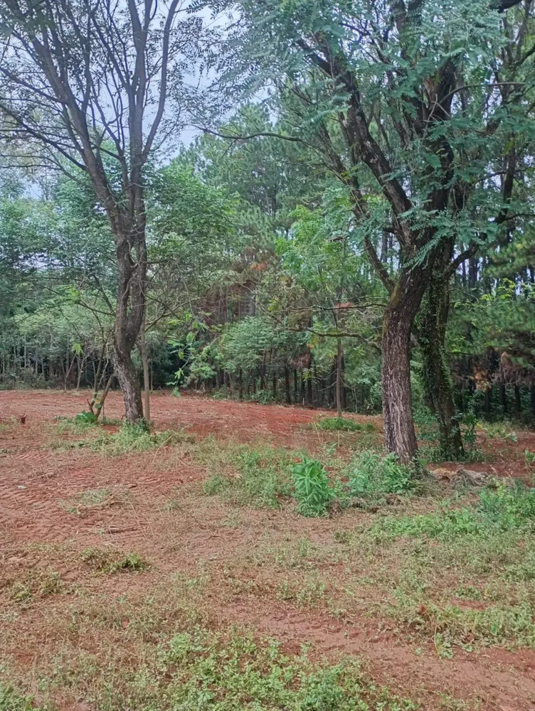 Loteamento e Condomínio, 5500 m² - Foto 4