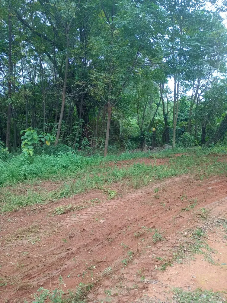 Loteamento e Condomínio, 5500 m² - Foto 3