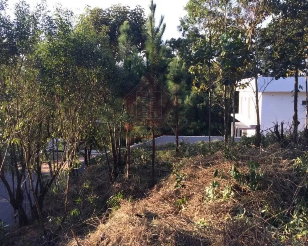 Terreno, 1743 m² - Foto 6