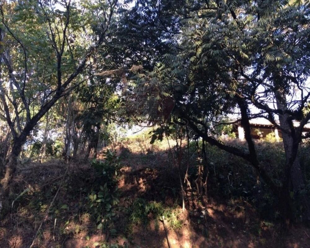 Terreno, 1743 m² - Foto 4