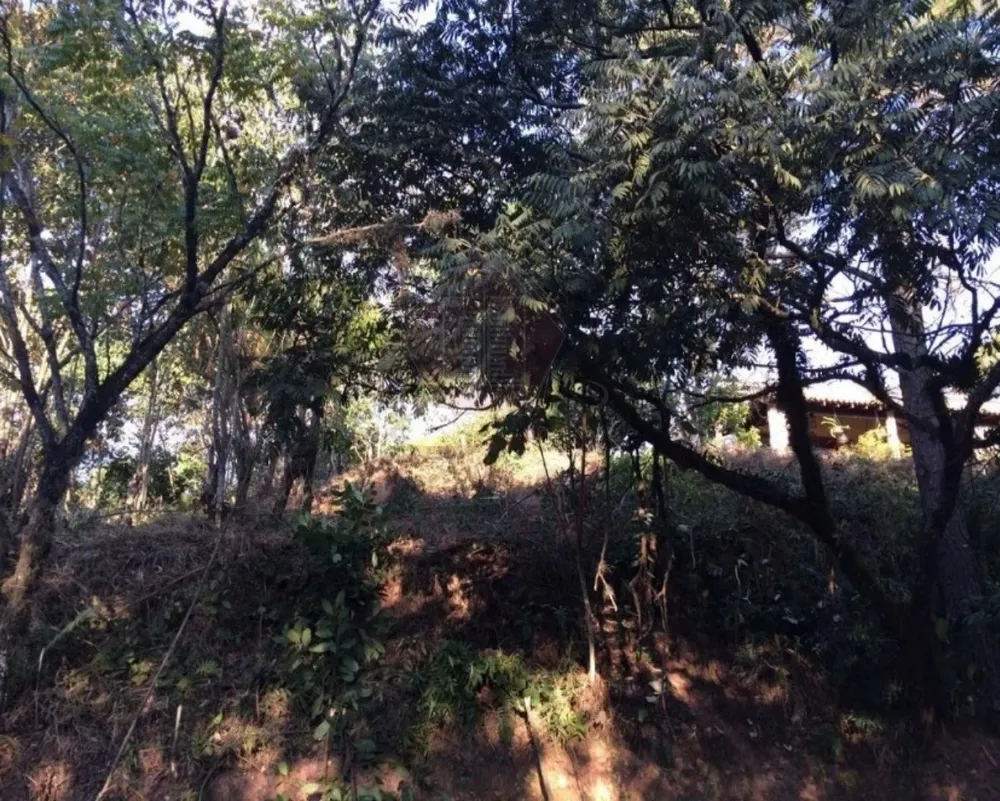 Terreno, 1743 m² - Foto 7