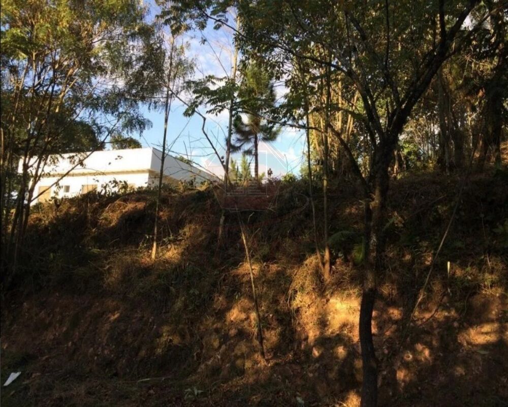 Terreno, 1743 m² - Foto 3