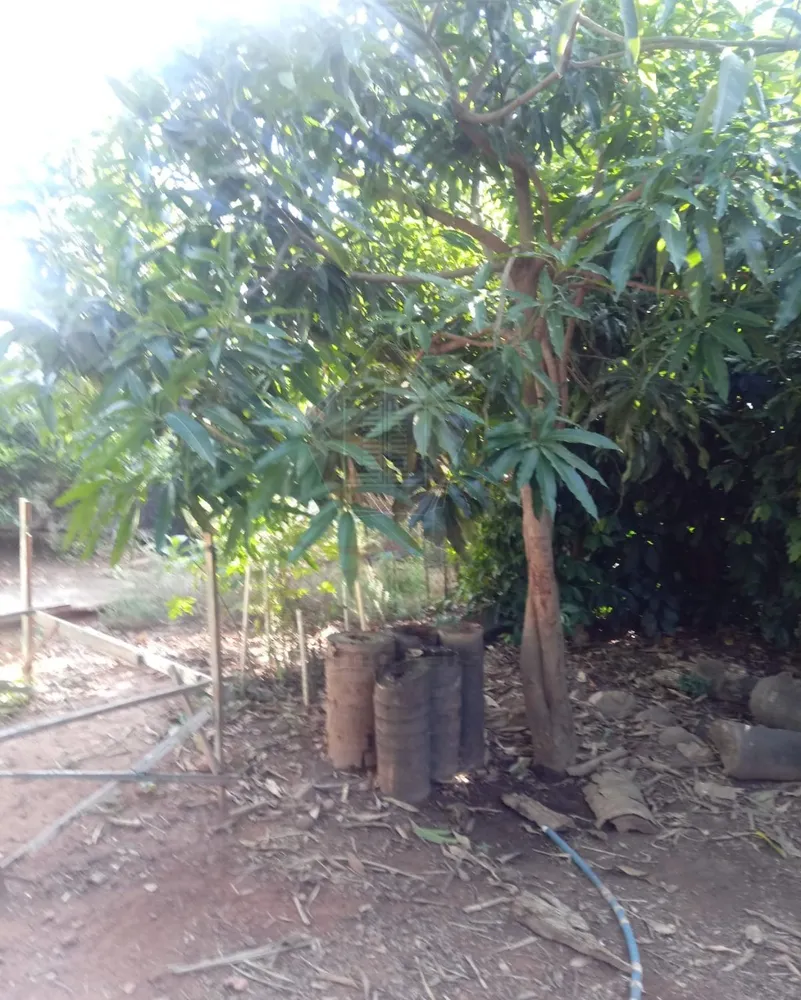 Terreno, 630 m² - Foto 5
