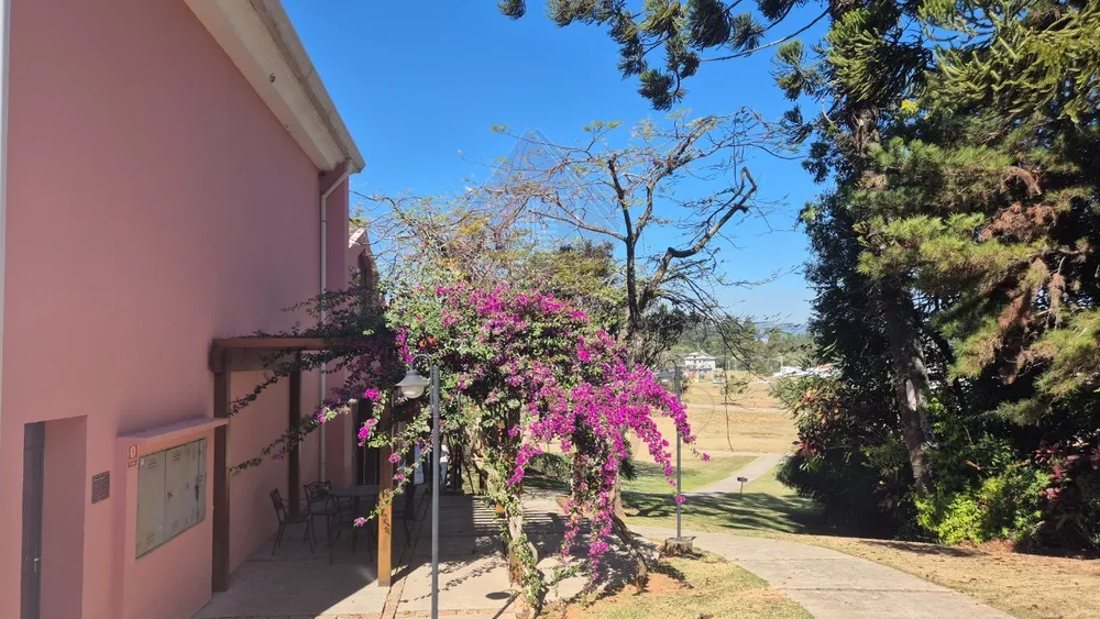 Casa, 3 quartos - Foto 12