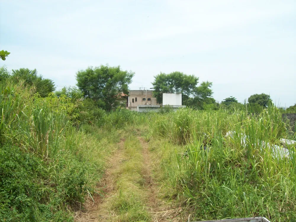 Terreno, 2 hectares - Foto 9
