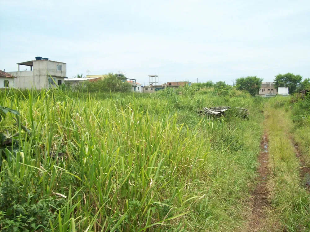 Terreno, 2 hectares - Foto 10