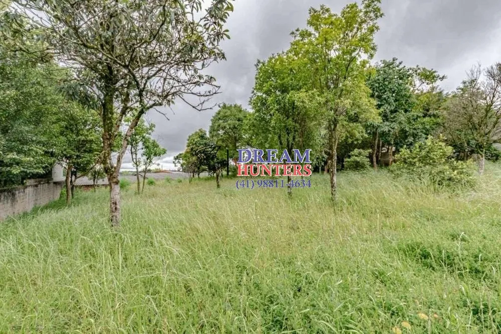 Terreno, 3300 m² - Foto 4